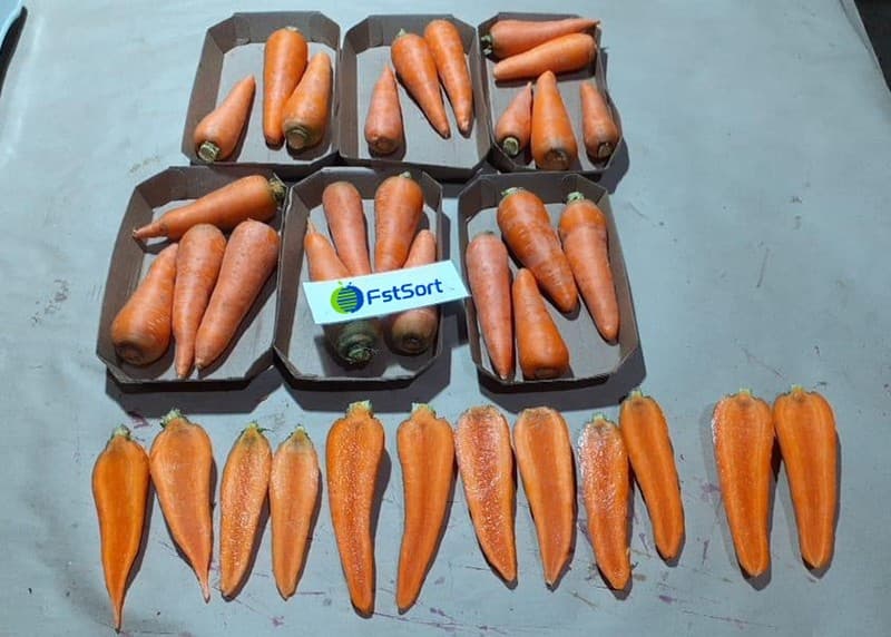 images/1700206936756carrot sorting grading machine.jpg
